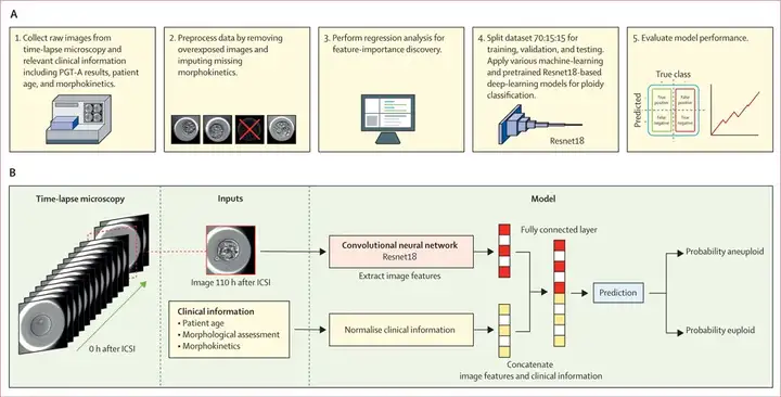 全球首例！18年绝望一夜逆转，AI找到仅有3颗精子，只要不到3000美元