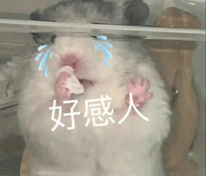 Anthropic最新研究：Claude正悄悄进化为“情绪价值大师”