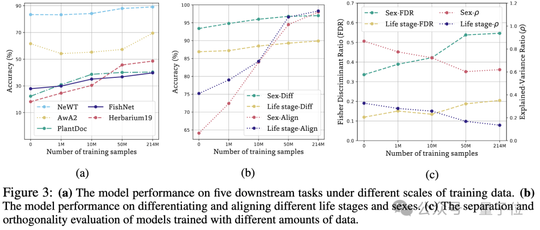 AI一眼认出95万物种，还能分辨雄雌老幼，2亿生物图像炼成“生命视觉”大模型