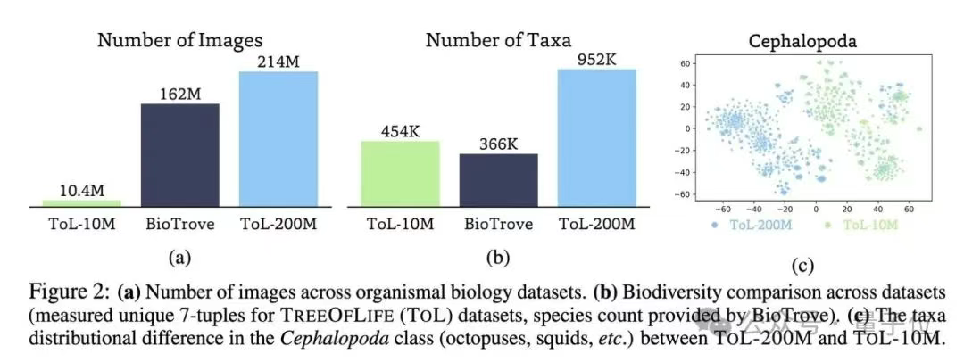 AI一眼认出95万物种，还能分辨雄雌老幼，2亿生物图像炼成“生命视觉”大模型